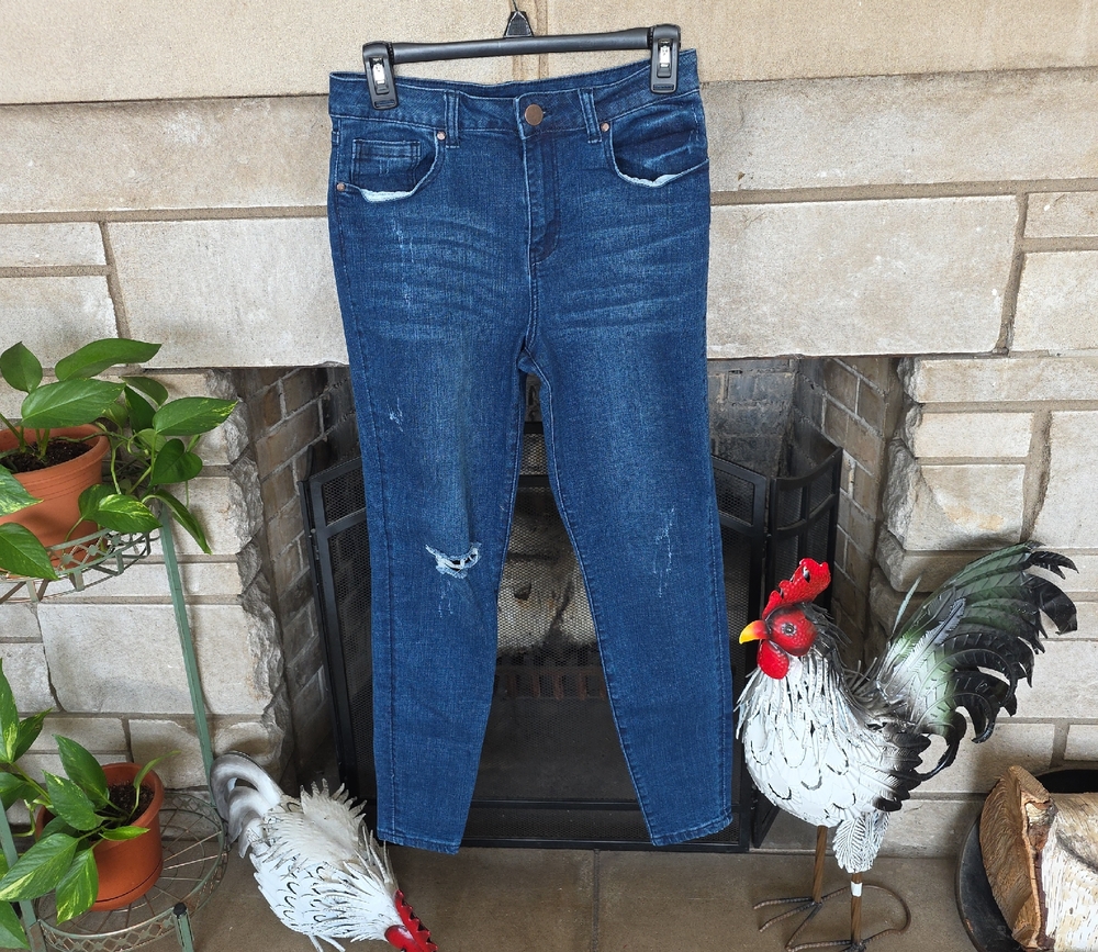 K Jordan Dark Blue Ankle Jeans